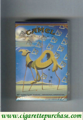 Camel Filters collection version ART Collection hard box cigarettes